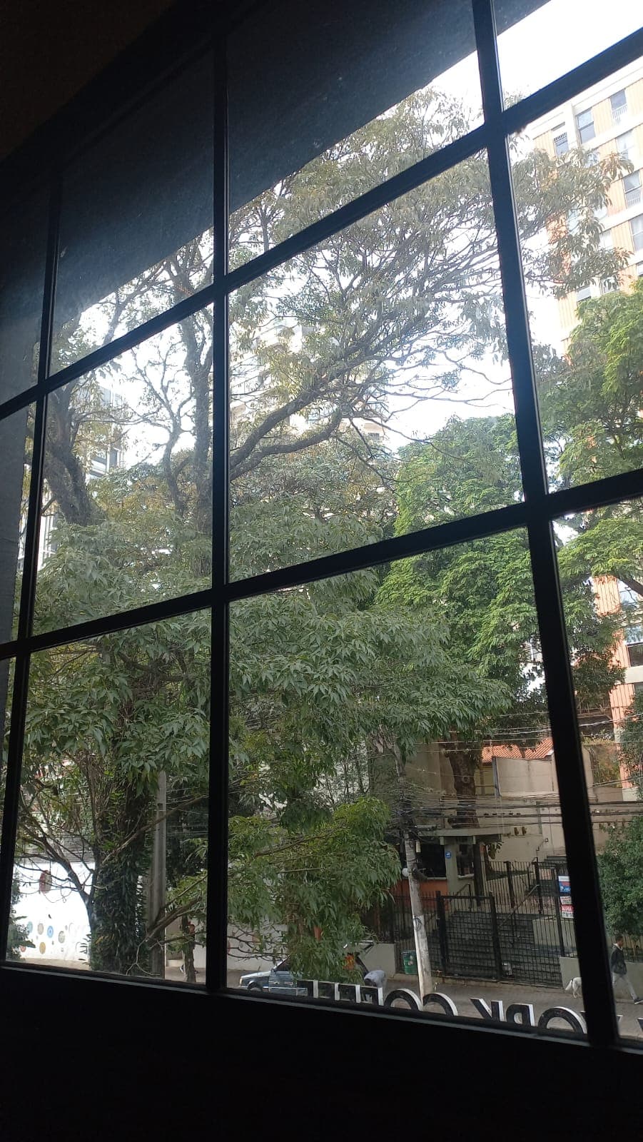 Janela com vista para árvores em ambiente urbano, transmitindo pausa e contemplação.